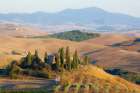 Italy-Tuscany Belvedere House-Olive trees-and vineyards near San Quirico dOrcia Art Print